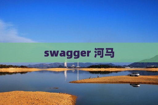 swagger 河马